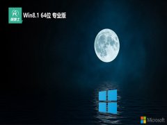 ʿ64λwin8.1ͨðv2025.01