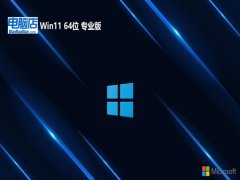 Եwin11 64λͨ޹v2025.01