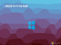 ϵͳ֮⼤win10 64λҵv2025.01